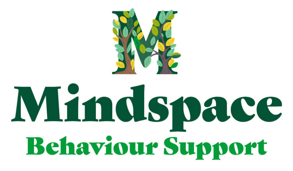 Mindspace Behaviour Support Logo